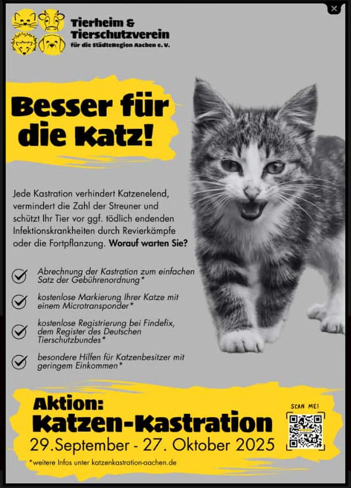 Ein Plakat mit Hinweis auf Katzenkastrationswochen in der Städteregion Aachen