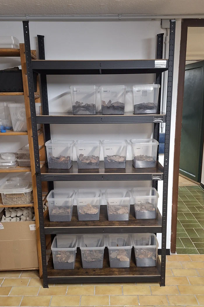 Eine Regalwand mit leeren Terrarien