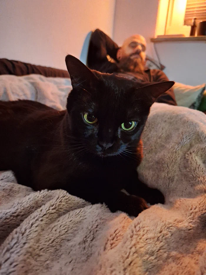 Auf der Couch mit Katze Arya