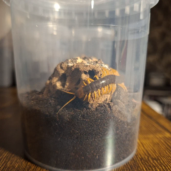 image attachment to status post