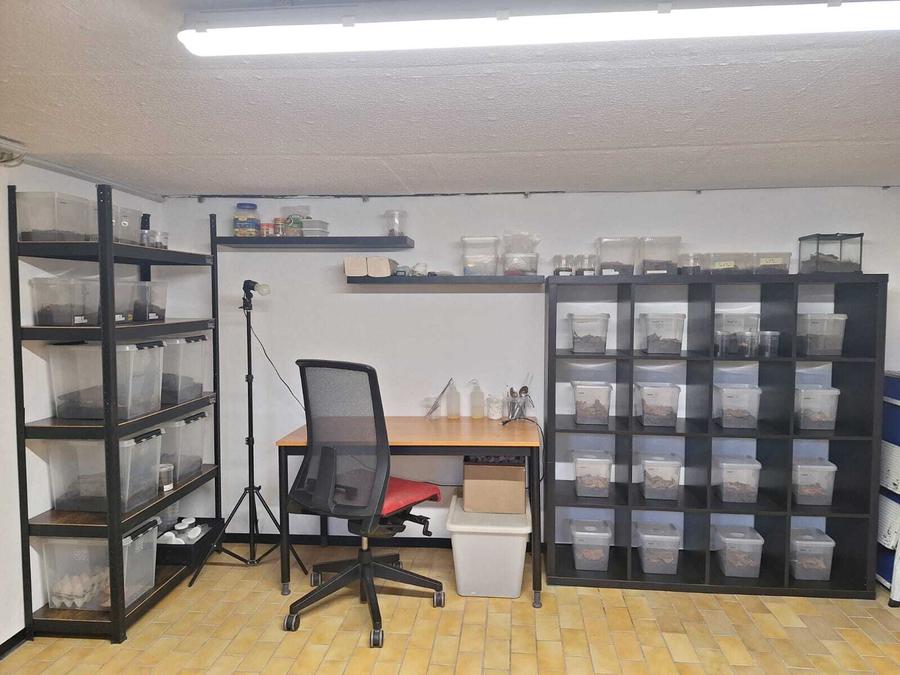 Foto von einem Kellerraum, der zur Haltung von Gifttieren ausgebaut wurde.