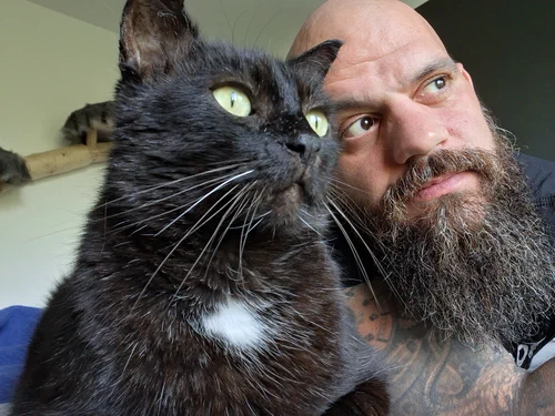 Streuner Kalli und der Katzenmoshpit schauen in den Garten