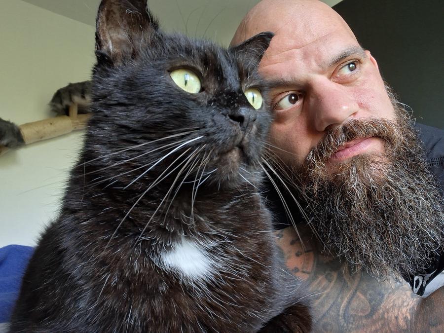 Streuner Kalli und der Katzenmoshpit schauen in den Garten