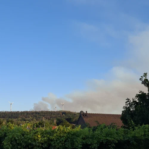 Ein Foto über Gärten und Häuserdächer hinweg, in Entfernung eine Halde und dahinter aufsteigender Rauch eines Waldbrandes.