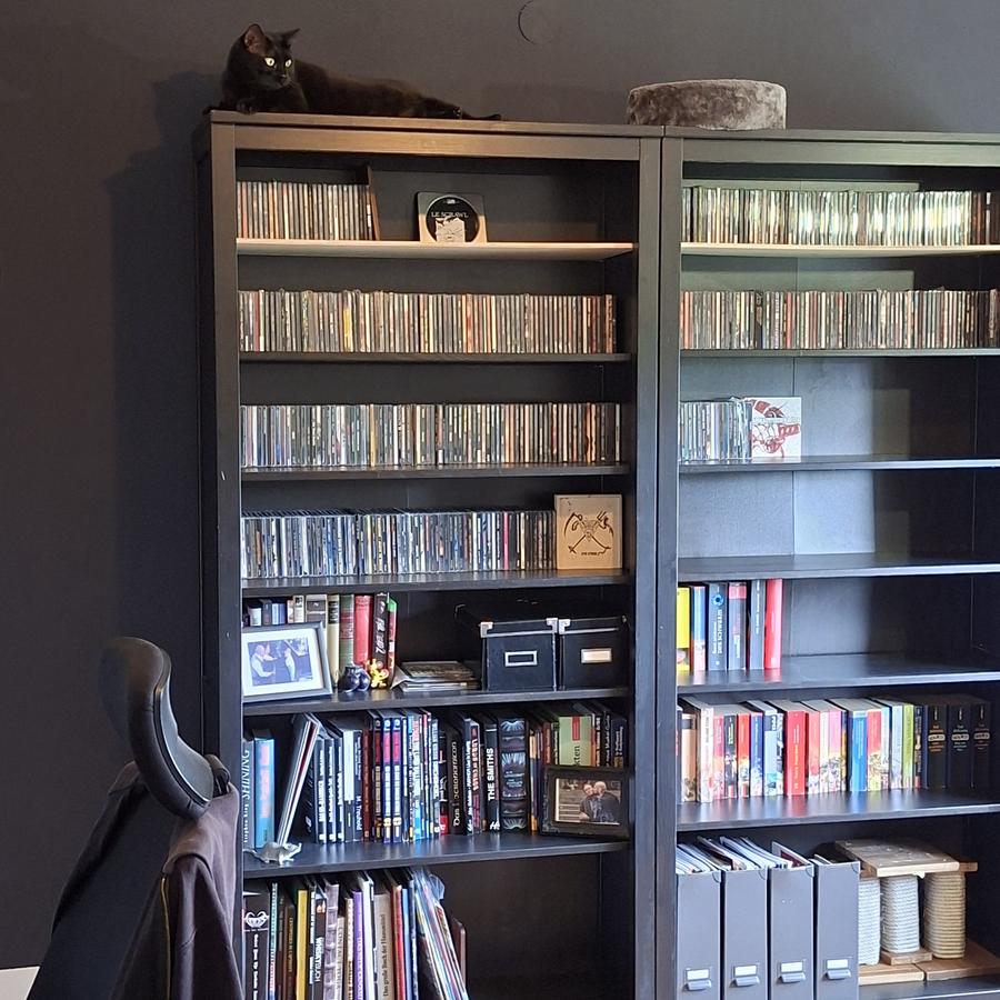 Ein Foto von einer Regalwand aus Ikea Hemnes, im Prozess des Einräumens. Auf einem Regal liegt eine schwarze Katze und beobachtet den Raum skeptisch. Sie vermutet nichts gutes hinter der Aktion, denn CDs im Zugriff bedeutet auch Beschallung mit Kokolores.