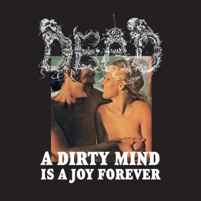 Cover Artwork zu A dirty Mind is a Joy forever