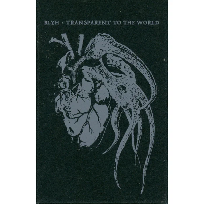 Blyh – Transparent To The World
