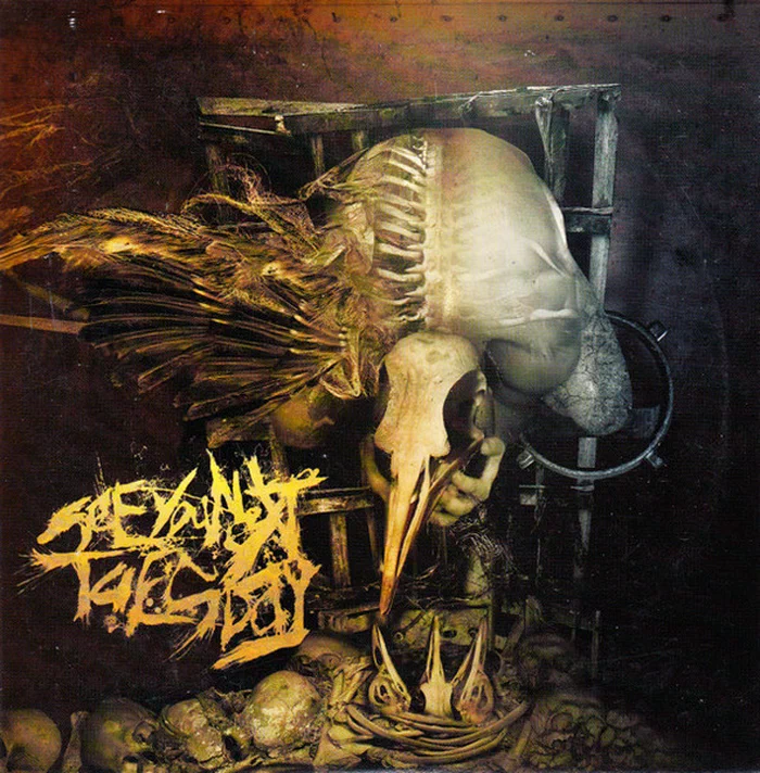 See You Next Tuesday – Parasite