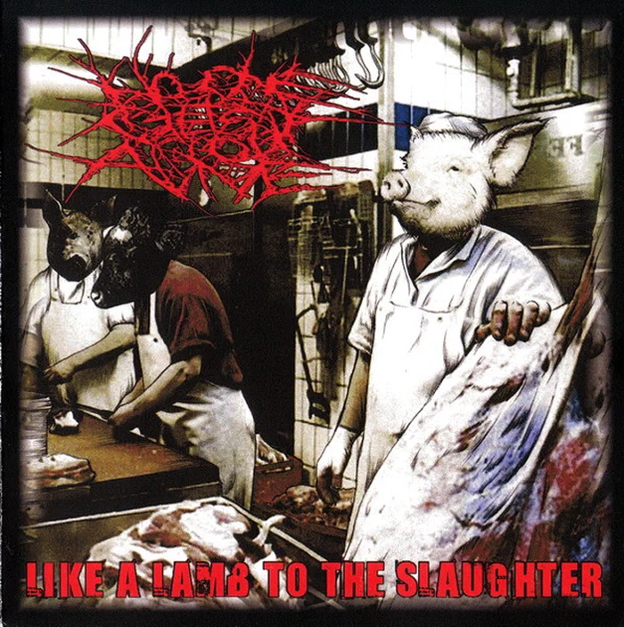 No One Gets Out Alive – Like A Lamb To The Slaughter