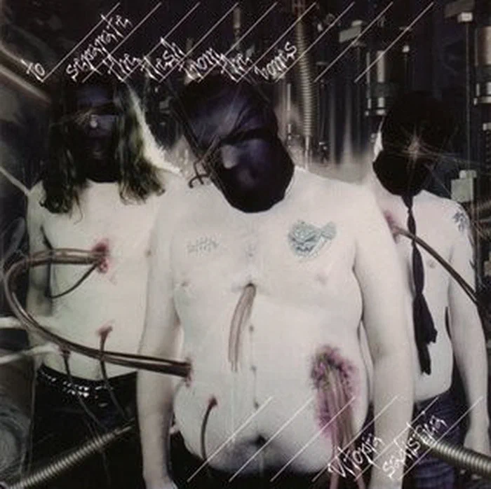 To Separate The Flesh From The Bones – Utopia Sadistica