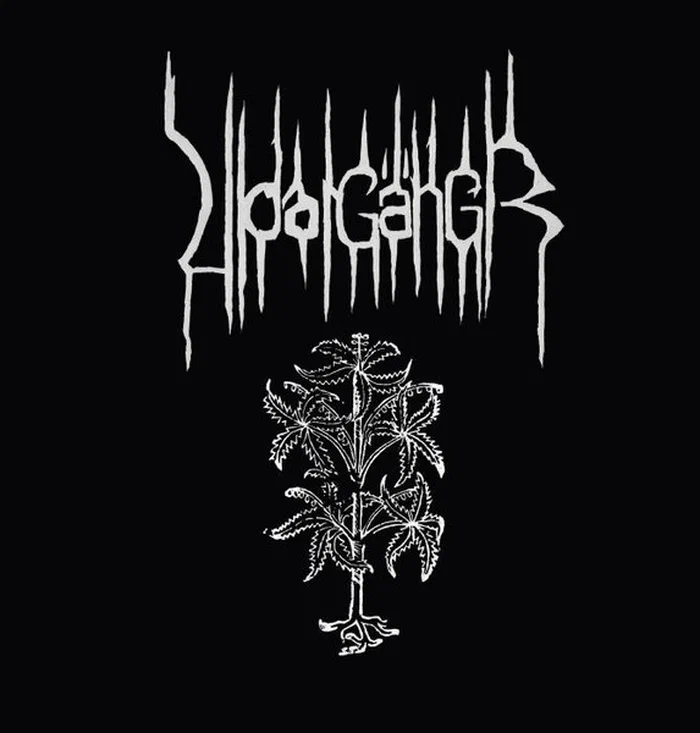 Vidargängr – Vidargängr
