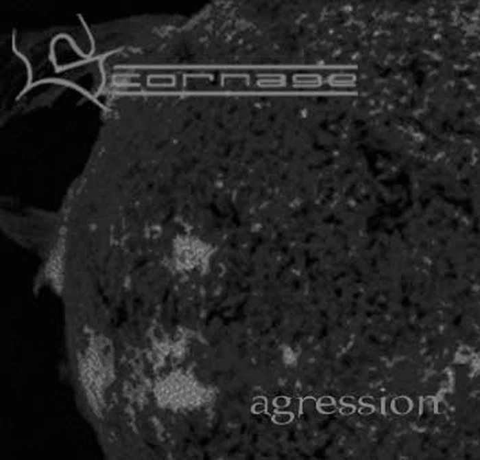 Scornage – Agression