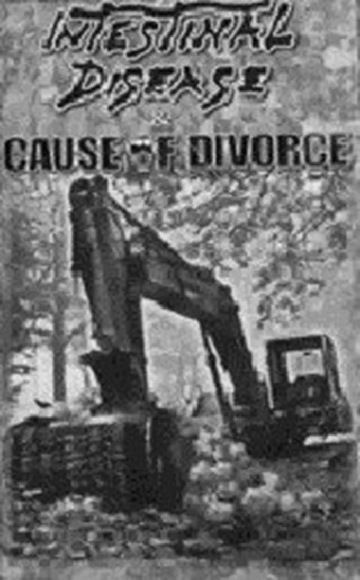 Intestinal Disease / Cause Of Divorce – Intestinal Disease / Cause Of Divorce