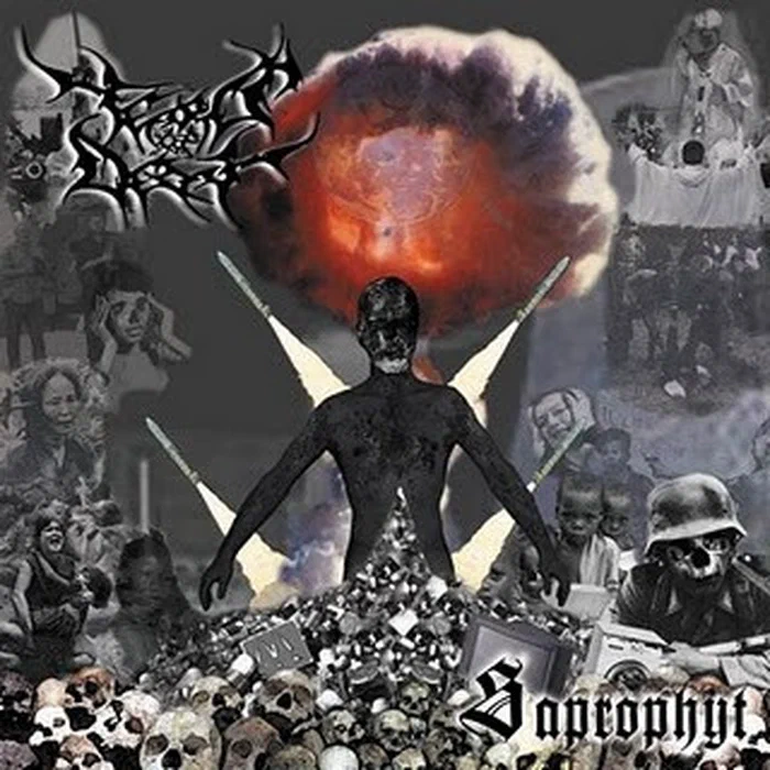 Tears Of Decay – Saprophyt