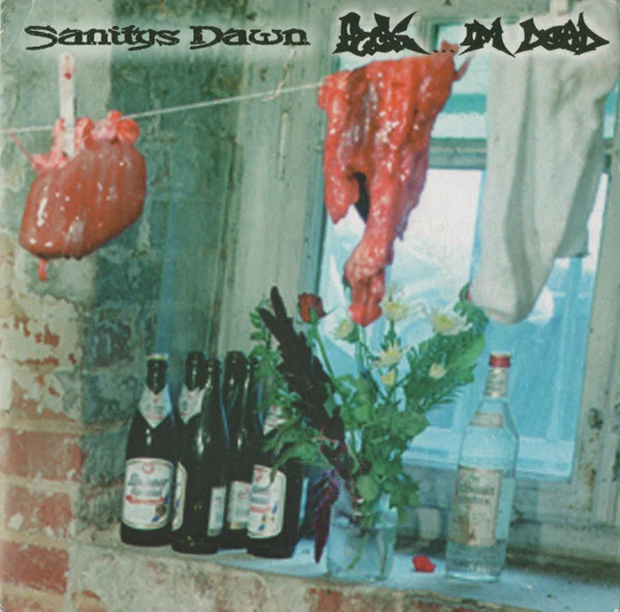 Fuck... I'm Dead / Sanitys Dawn – Fuck... I'm Dead / Sanitys Dawn