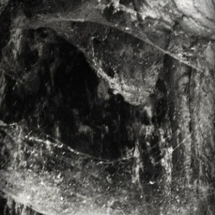 Abyssal – Novit Enim Dominus Qui Sunt Eius 