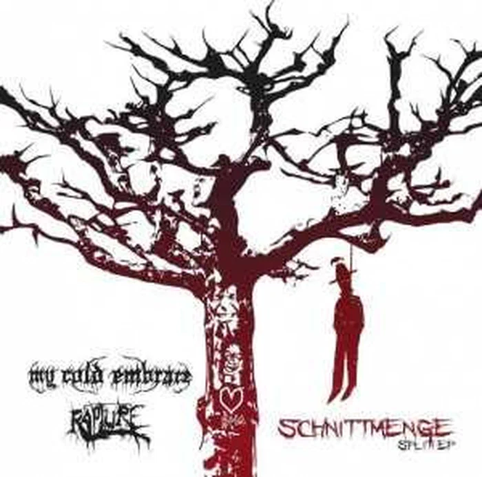 My Cold Embrace / Rapture – Schnittmenge (Split EP)