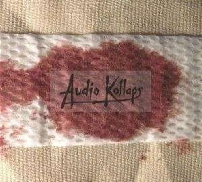Audio Kollaps – Music From An Extreme Sick World