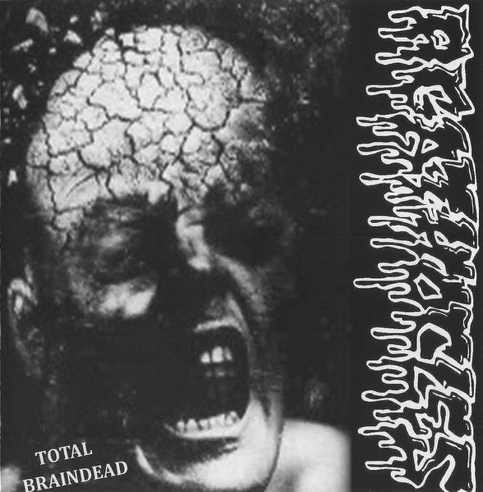 Agathocles / Disorder – Total Braindead / Massacre Of Fish