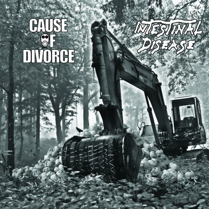 Intestinal Disease / Cause Of Divorce – Intestinal Disease / Cause Of Divorce