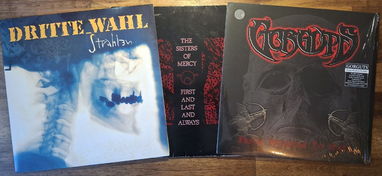 Ein Foto der LPs ‘Strahlen’, ‘First And Last And Always’ und ‘From Wisdom To Hate’